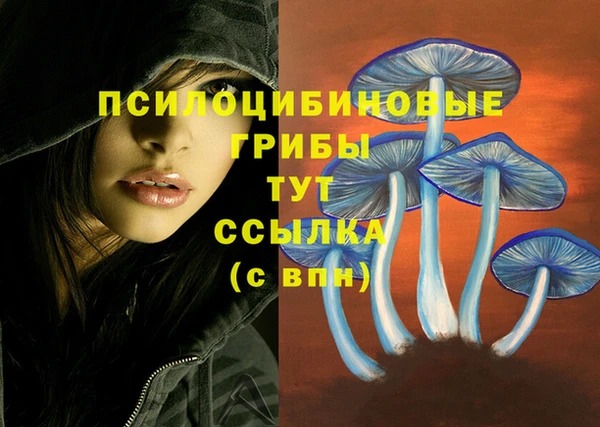 прущий лед Алексин