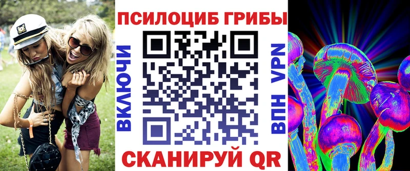 Псилоцибиновые грибы мухоморы  продажа наркотиков  Динская 